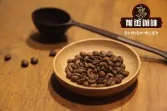 半日晒处理法巴西咖啡豆生豆的特点 巴西咖啡特点口感均衡浓香