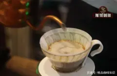 肯尼亚水洗精品咖啡豆 双重发酵水洗处理等级AA品种风味特点描述