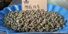 世界三大咖啡品种|全球三个咖啡树的品种特点对比哪个更好喝