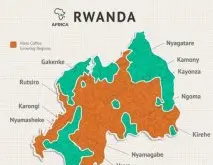 卢旺达咖啡豆的风味特点 种植历史和产区介绍