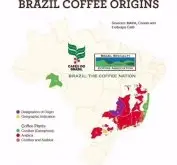 世界上最大的咖啡生产国 巴西咖啡豆的风味特点 四种处理方法