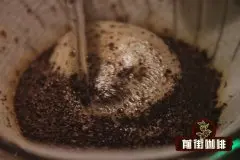 叶尔莎罗庄园处理咖啡豆的方法 压力蜜处理叶尔莎罗咖啡风味