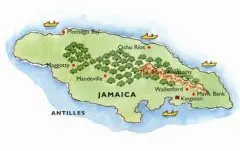 牙买加蓝山咖啡豆的特点 什么才是真正的牙买加蓝山咖啡