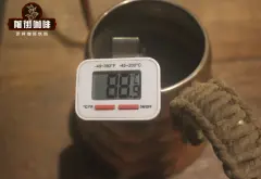 手冲咖啡水温标准 不同烘焙度的咖啡风味区别冲煮温度参数比例