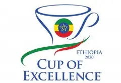 首届Ethiopia埃塞俄比亚卓越杯coe拍卖会创下134万美元的新高