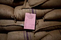 怎么形容乌干达咖啡豆的口感？乌干达艾岗山AA咖啡的风味特点