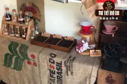 巴西咖啡豆主要种植波旁咖啡品种介绍 巴西咖啡产区风味口感特征