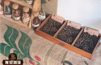 巴拿马瑰夏与耶加雪菲咖啡豆区别 不同产区瑰夏咖啡风味口感特点