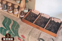 坦桑尼亚咖啡豆风味特点口感庄园产区故事精品咖啡介绍