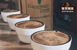 洪都拉斯咖啡豆特点口感特点 洪都拉斯荔枝兰咖啡手冲风味描述