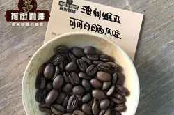 玻利维亚羊驼庄园精品咖啡豆介绍 玻利维亚咖啡豆风味庄园故事