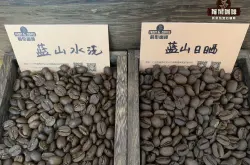 牙买加蓝山咖啡历史特点介绍 蓝山顶级阿拉比卡咖啡豆风味口感描述