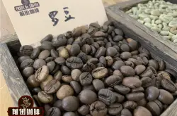 罗豆是什么 罗布斯塔咖啡豆和阿拉比卡咖啡豆哪一个更好喝？