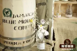 牙买加蓝山咖啡豆怎么冲泡特点 蓝山咖啡豆手冲水粉比例温度方法分享