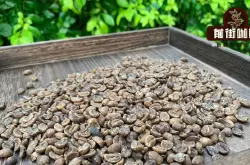 低因咖啡豆怎么处理 何谓低因咖啡及处理方式 低因豆口感