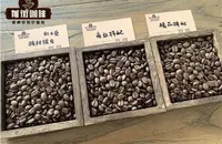 拼配咖啡豆和单品咖啡豆的区别 拼配咖啡豆可以做美式吗