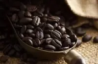咖啡豆都有什么特殊处理法 常见咖啡豆特殊处理法和传统处理