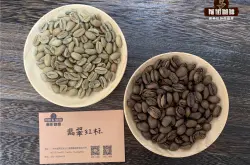 稀有的精品咖啡 巴拿马衣索匹亚国色天香艺伎咖啡