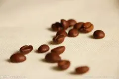 喝SOE咖啡减肥效果怎样 咖啡减肥怎么喝黑咖啡怎么喝能减肥