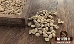 阿拉比卡与罗布斯塔咖啡豆的区别 云南小粒咖啡属于阿拉比卡吗