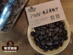 PWN正宗印尼黄金曼特宁和亚齐19目曼特宁咖啡风味的差异区别