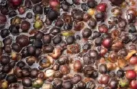 pwn黄金曼特宁咖啡种类和苏门答腊湿刨铁皮卡曼特宁咖啡种区别