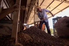 咖啡豆市场价格飙升 巴西哥伦比亚越南咖啡产区影响价格的因素