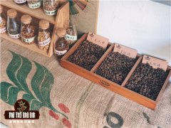 中国云南小凹子咖啡 小凹子咖啡是什么品种