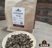 咖啡粉比咖啡豆难保存吗 咖啡豆提前磨成粉会影响口感吗