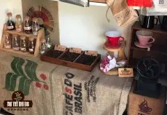 星巴克苏门答腊咖啡豆的风味口感特点 苏门答腊精品咖啡豆价格
