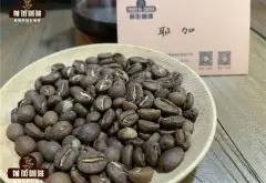 SIDAMO咖啡豆 耶加雪菲和埃塞俄比亚 Harrar 的风味区别