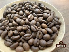 乞力马扎罗咖啡的采摘期和处理方法 精品咖啡肯尼亚