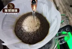 细磨咖啡与粗磨咖啡的大小问题 咖啡的萃取与咖啡粉的粗细有关系