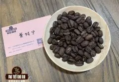 苏拉威西咖啡豆是太平洋咖啡种植世界的瑰宝 苏拉威西托拉雅咖啡