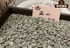 蓝山咖啡贵的主要原因 蓝山豌豆咖啡豆做混合浓缩咖啡味道如何
