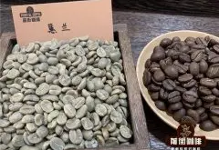 什么口味咖啡好喝？哥伦比亚最受欢迎的咖啡豆排行榜哪种咖啡香浓