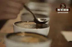 埃塞俄比亚耶加雪菲咖啡豆风味口感特点 耶加雪菲手冲咖啡怎么喝