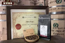 【图】蓝山咖啡手冲方法特点示范 牙买加蓝山咖啡豆怎样冲泡水粉比例与标准喝法