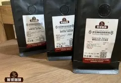 巴拿马艺伎咖啡的特别之处与红杯绿标蓝标之间的等级介绍风味描述