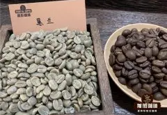 哥伦比亚慧兰咖啡豆和耶加雪啡口感风味有什么不同 手冲建议参数