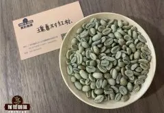 翡翠庄园艺伎咖啡豆为什么这么贵?巴拿马艺伎咖啡是什么品种